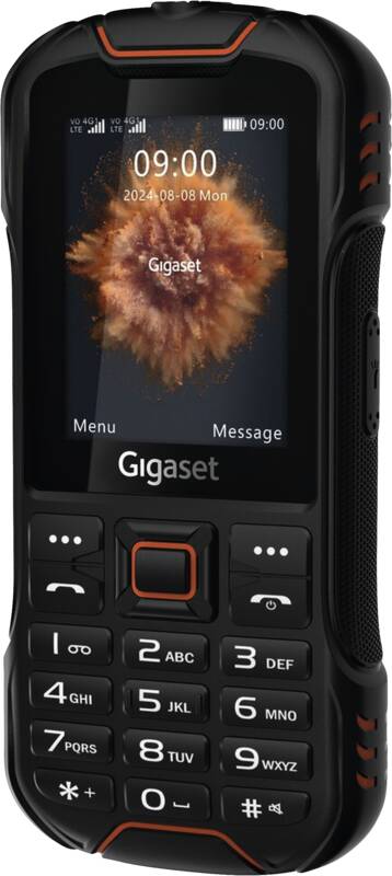 GLX8