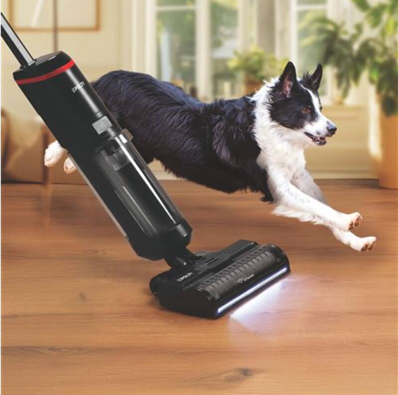ROLLYSTEAM WD40C CORDLESS