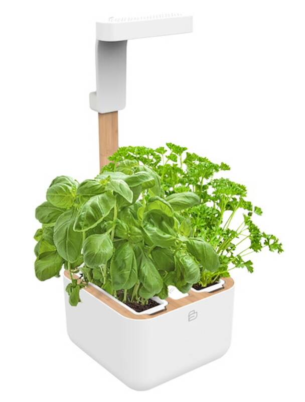 Botaneo EYLO Indoor Garden