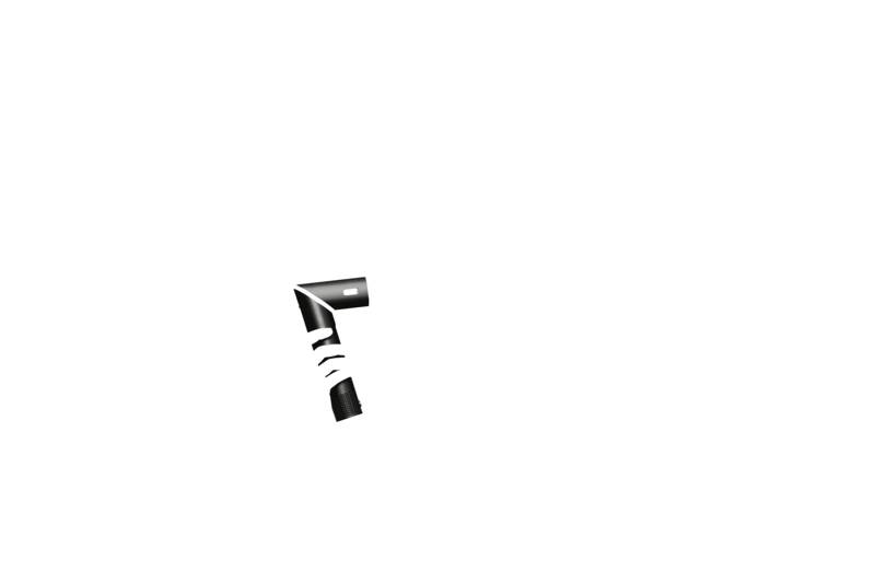 FlexStyle 5-in-1 Haarstyler & Trocknungssystem
