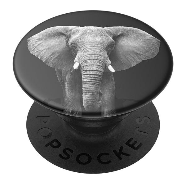 PopGrip Loxodonta Africana - handy.ch
