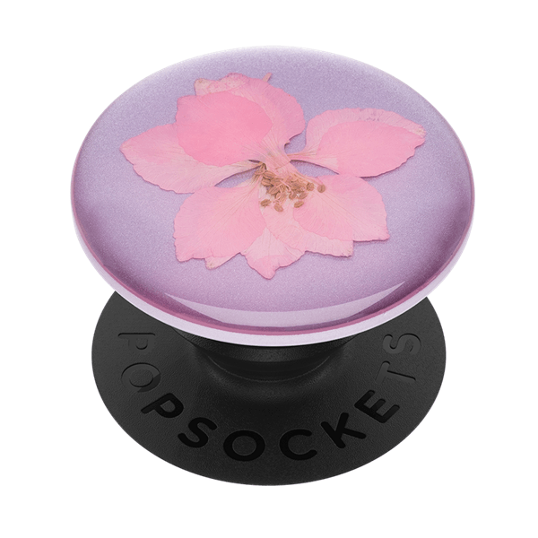 PopGrip Premium Pressed Flower Delphinium Pink - handy.ch