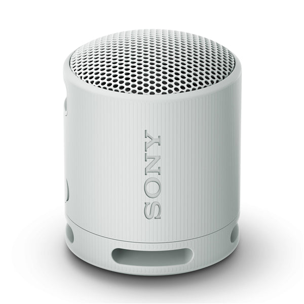 Bluetooth-Speaker SRS-XB100 grau