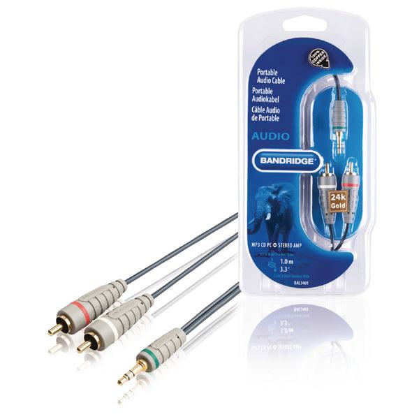 Stereo-Audiokabel 3.5 mm male - 2x RCA male 1.00 m Blau - handy.ch