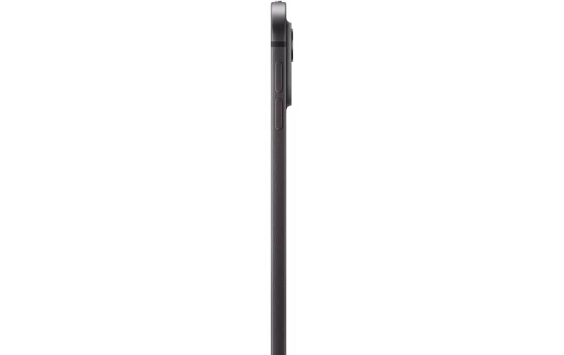 iPad Pro 13" 256 GB Wi-Fi (2024)