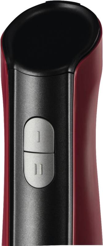 Desire 3 in 1 Stabmixer