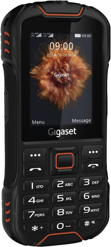 GLX8
