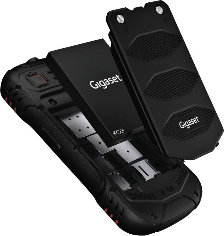 GLX8