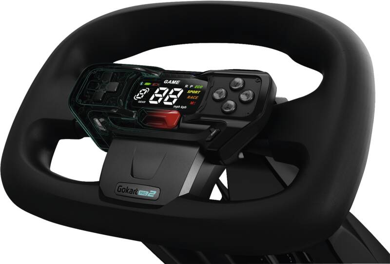 GoKart PRO 2 by Segway