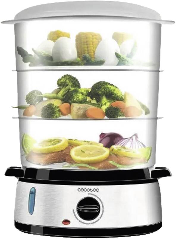 Vapovita 3000 Inox steamer