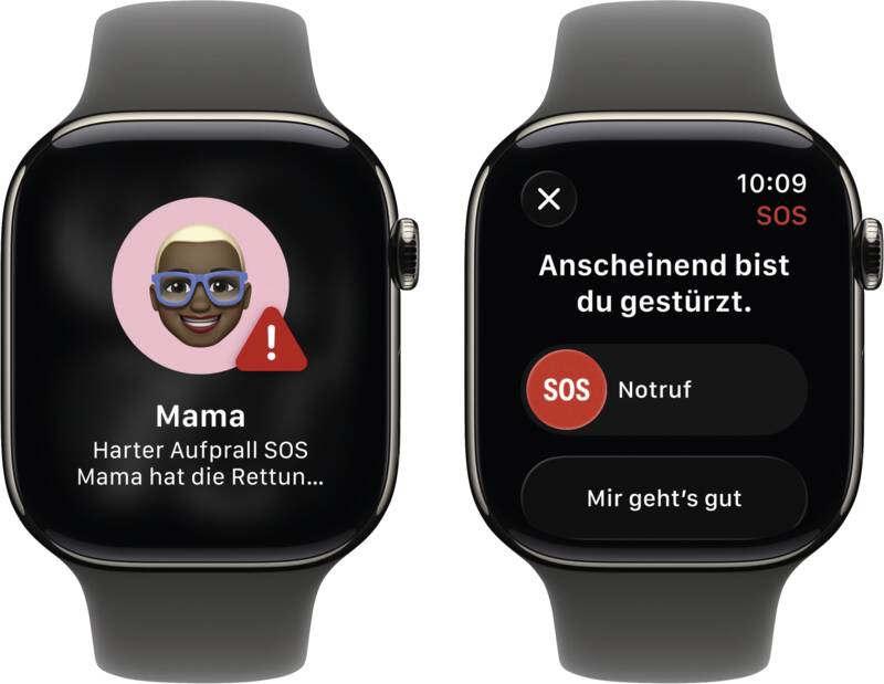 Watch Series 11 GPS + Cellular, 42mm, Titan, Gr. M/L, steing