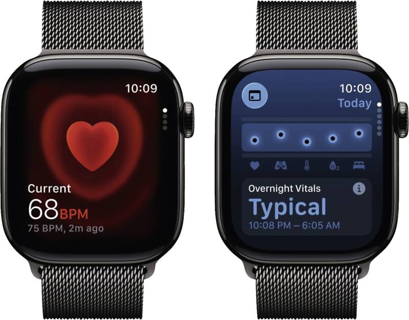 Watch Series 11 GPS + Cellular, 42mm, Titan, schieferfarbene