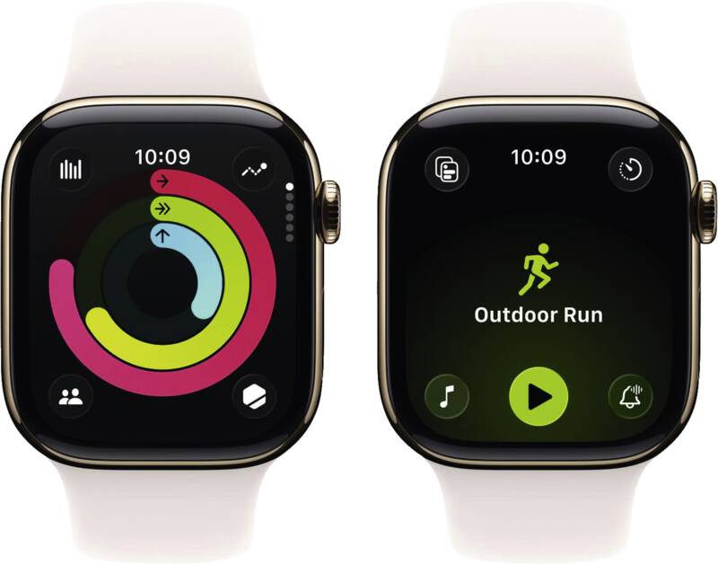 Watch Series 11 GPS + Cellular, 42mm, Titan, Gr. M/L, blassr