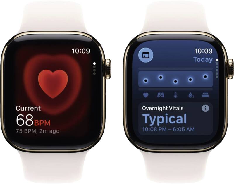 Watch Series 11 GPS + Cellular, 42mm, Titan, Gr. M/L, blassr