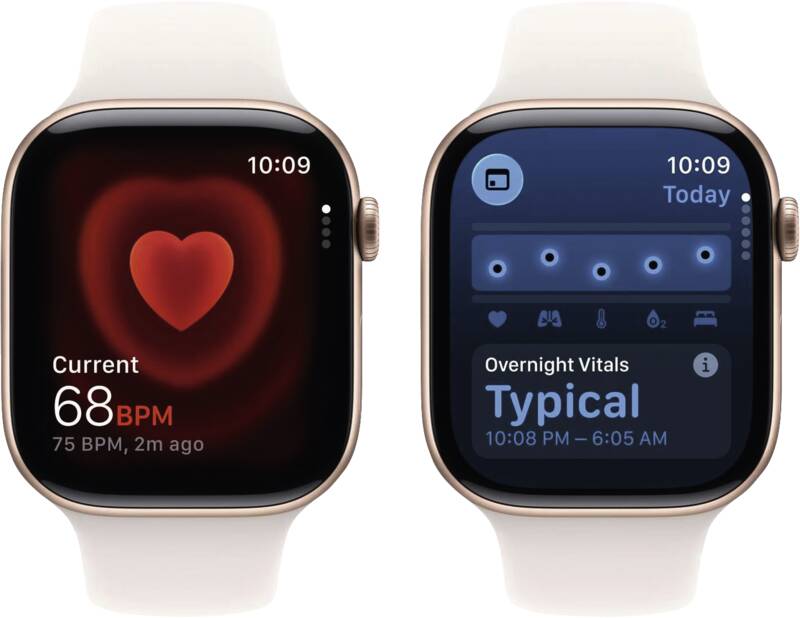 Watch Series 11 GPS + Cellular, 46mm, Alu, Gr. S/M, blassros