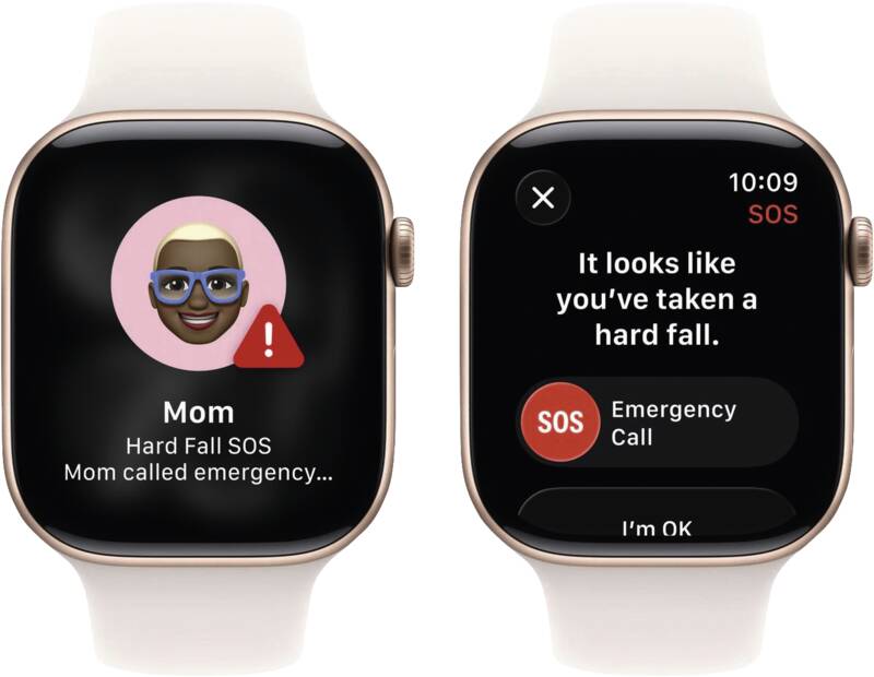 Watch Series 11 GPS + Cellular, 46mm, Alu, Gr. M/L, blassros