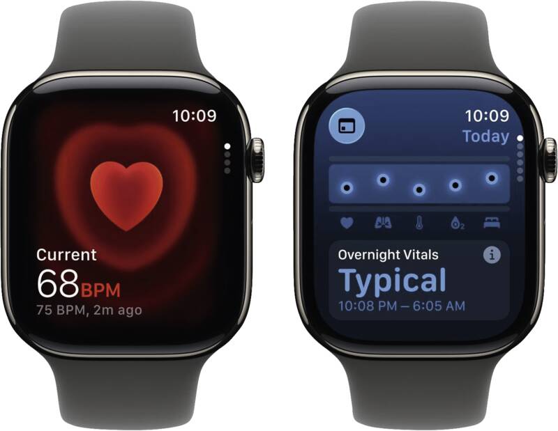 Watch Series 11 GPS + Cellular, 46mm, Titan, Gr. S/M, steing