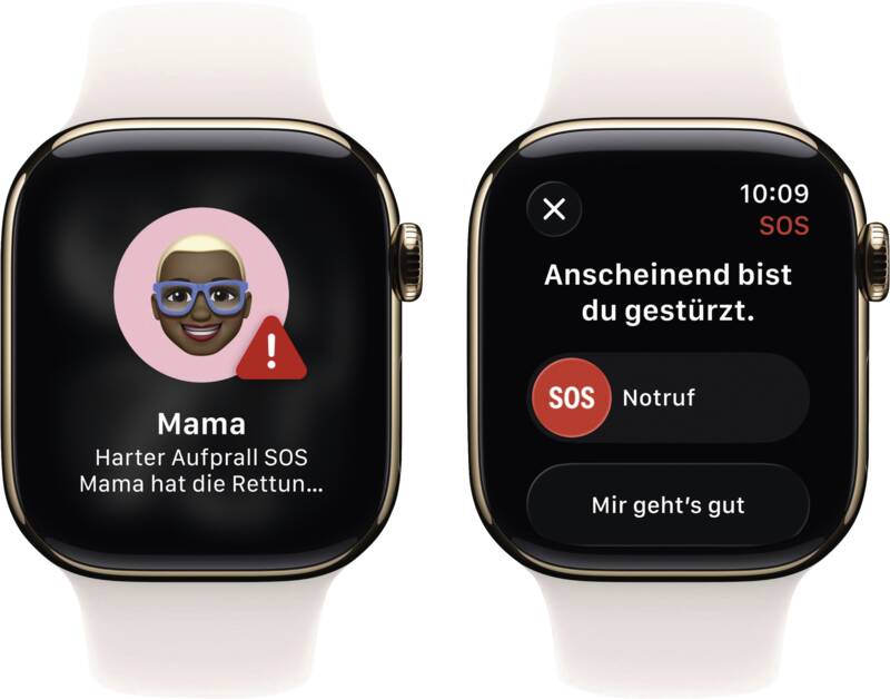 Watch Series 11 GPS + Cellular, 46mm, Titan, Gr. S/M, blassr