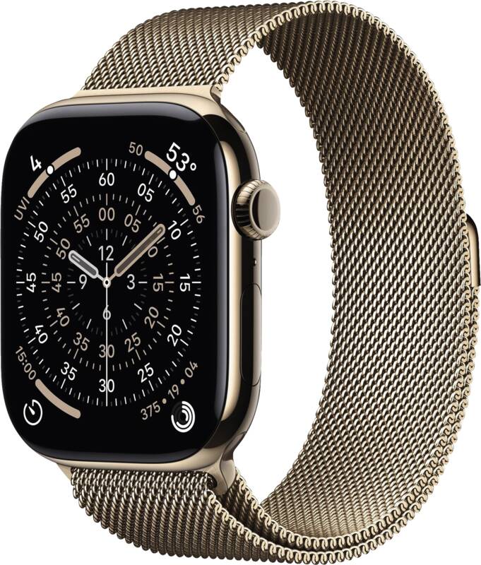 Watch Series 11 GPS + Cellular, 46mm, Titan, Gr. M/L, golden