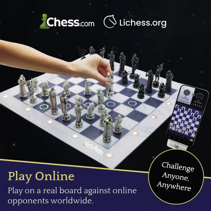 Particula GoChess Wizard Mini Harry Potter