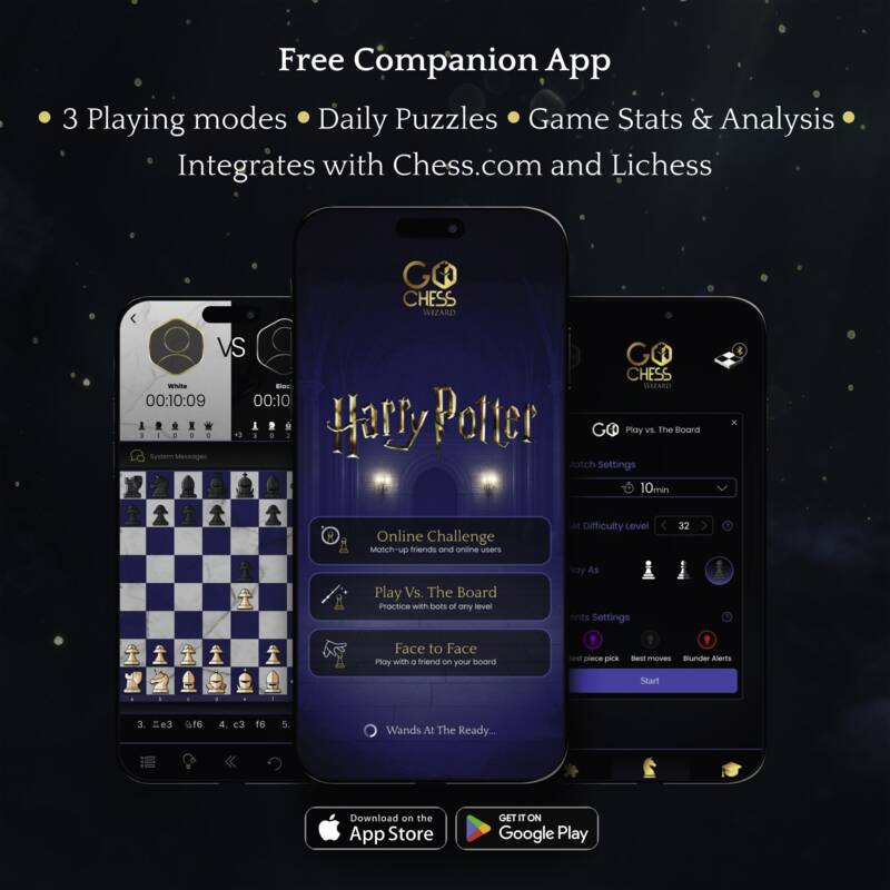 Particula GoChess Wizard Mini Harry Potter