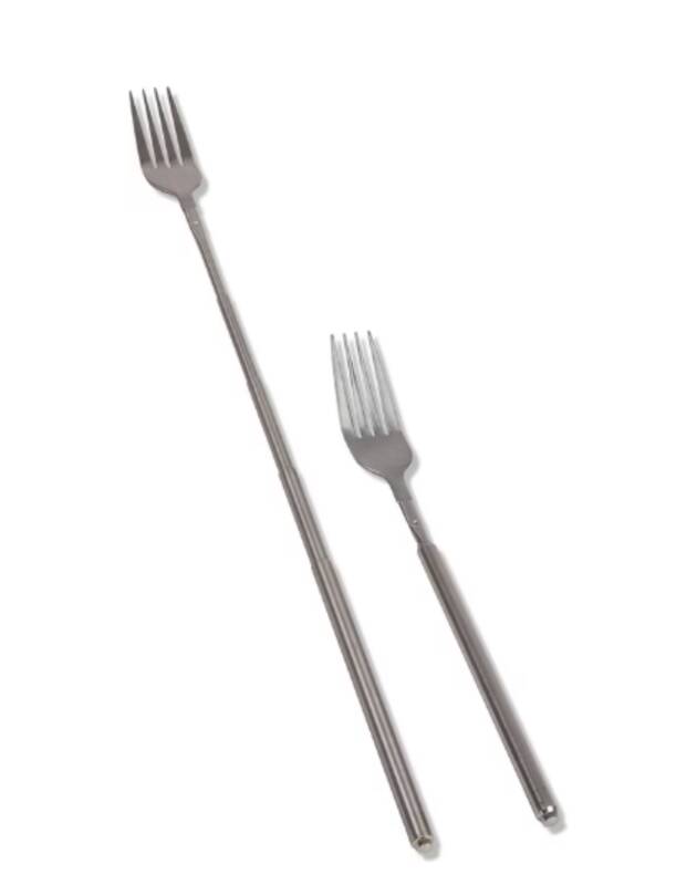 Fondue-Teleskopgabel Set