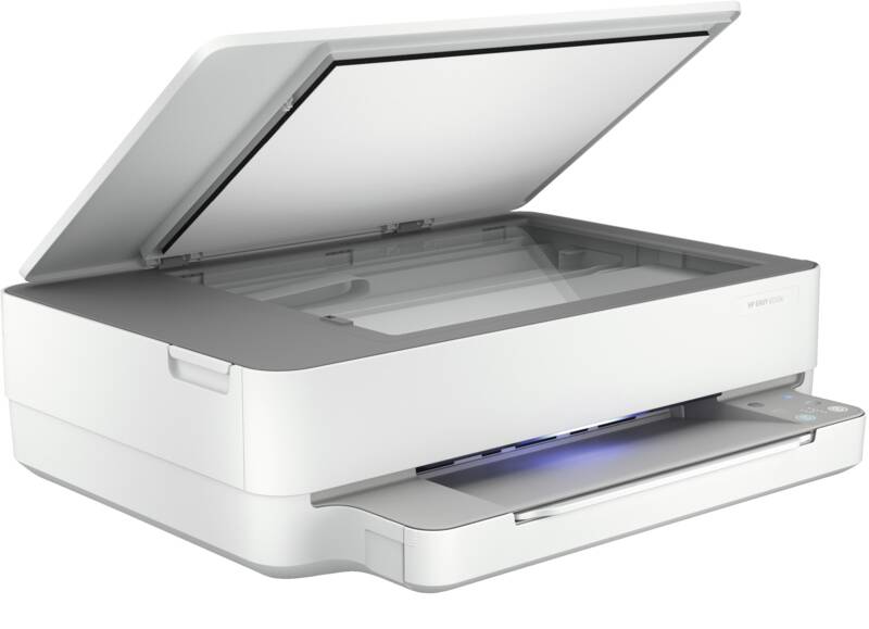 ENVY 6030e All-in-One Grau-Weiss