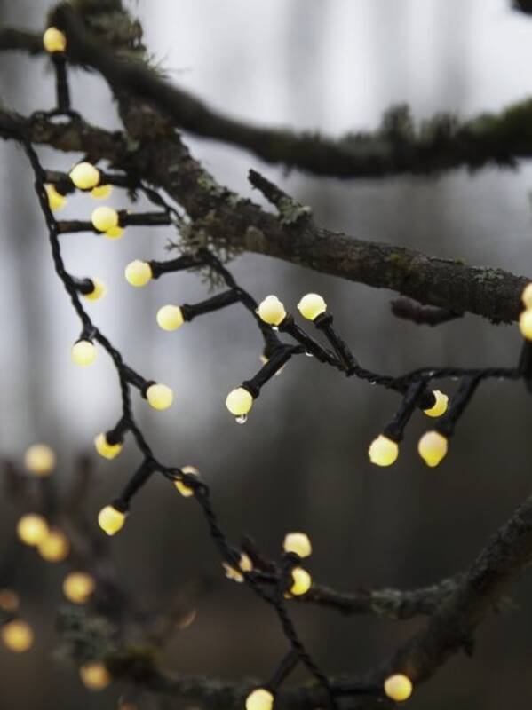 Lichterkette Berry Mini 700 LED